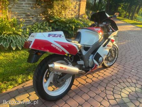 Yamaha FZR 600 Genesis 1993