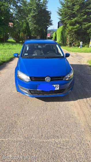 Volkswagen Polo 2010