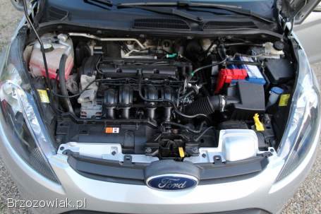 Ford Fiesta MK7 1.  25 2010