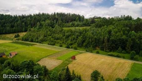 KUPIĘ DZIAŁKĘ ROLNĄ 30 a -  1 ha DO 15 min OD KROŚCIENKA WYŻNEGO