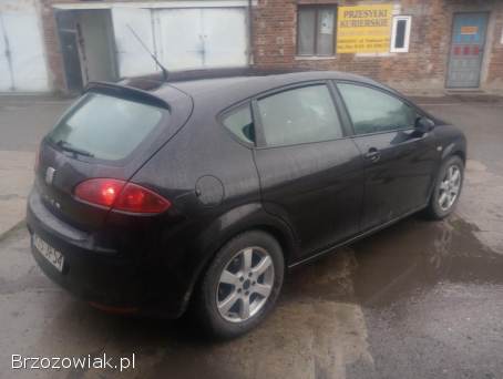 Seat Leon 1.  9tdi  2006