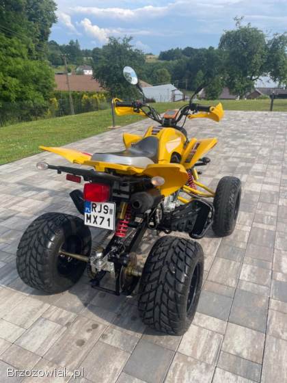 Quad Schenke 250