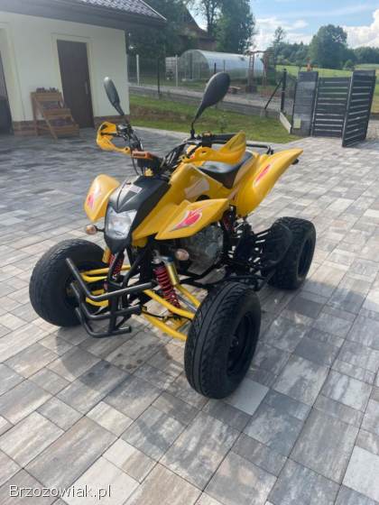 Quad Schenke 250