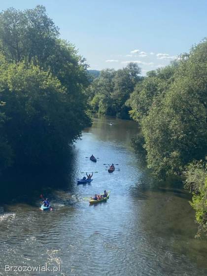 Kajaki spływ Wisłok