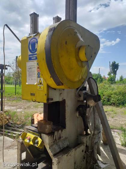 Prasa mimosrodowa