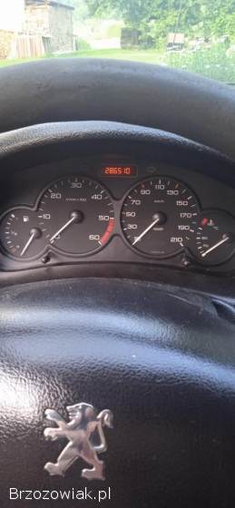 Peugeot 206 SW 2003