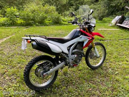 Honda CRF 2013