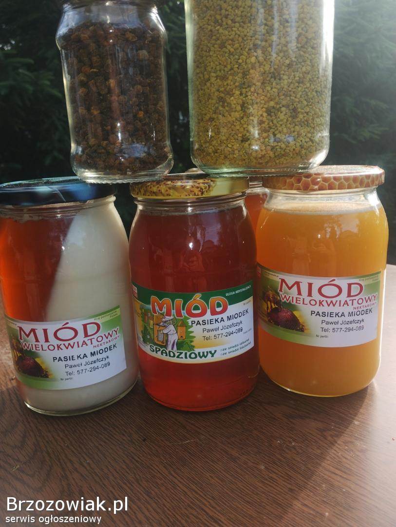 Miodek pyłek propolis pierzga