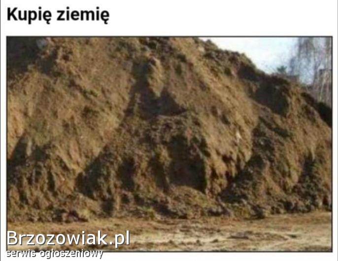 Ziemia
