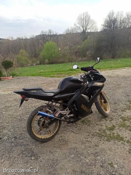 Yamaha TZR 2008
