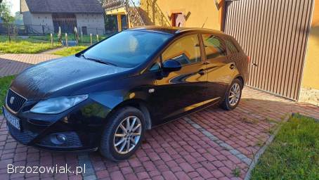 Seat Ibiza 2011
