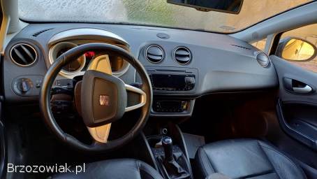 Seat Ibiza 2011