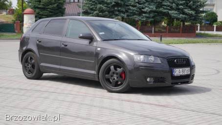 Audi A3 8P 2004