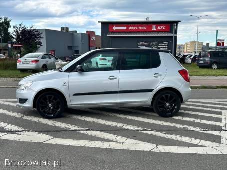 Škoda Fabia 1.  6 75 kM 2013r 2013