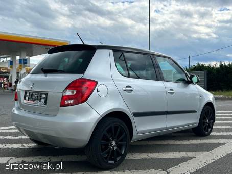 Škoda Fabia 1.  6 75 kM 2013r 2013