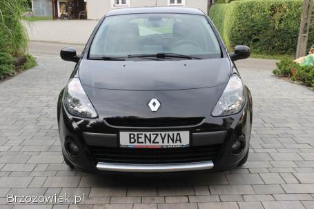 Renault Clio 2011