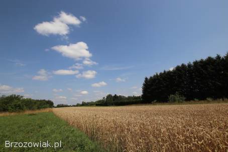 BIURO KROŚNIEŃSKIE NIERUCHOMOŚCI POLECA!