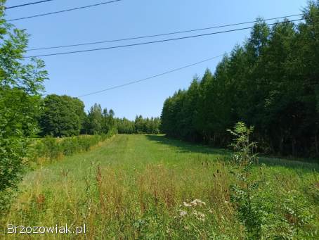 Działka budowlana dla rolnika z terenu gminy Rymanów