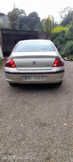 Peugeot 4007 2007