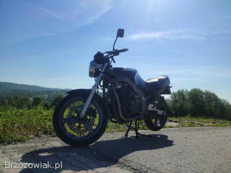 Suzuki GS 500 e 1996