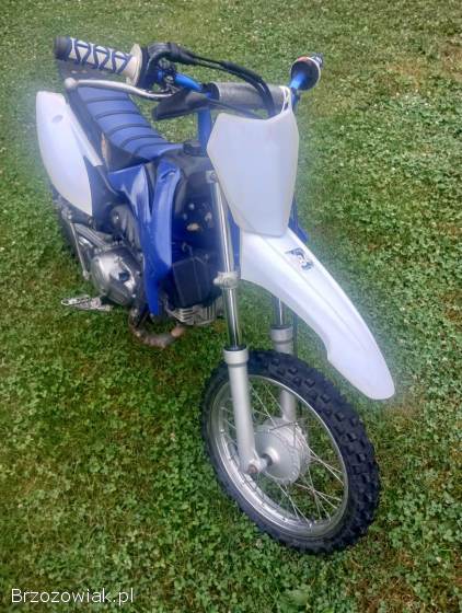 Yamaha TTR 110 2010