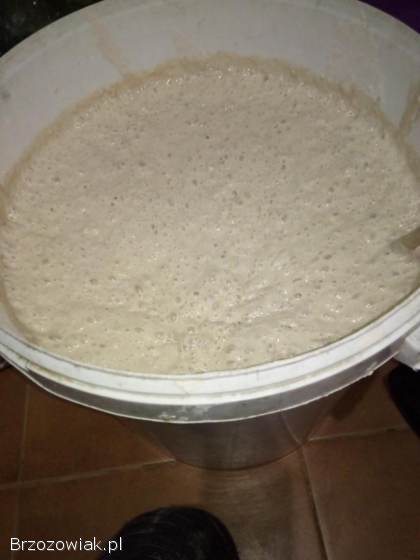 Chleb z pieca opalanego drewnem