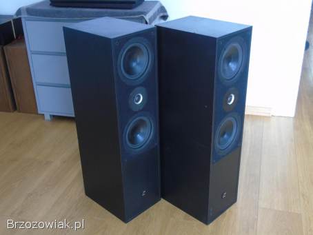Kolumny audio ELAC ELT-10 świetne stereo 2x 120 wat.  DOSTAWA