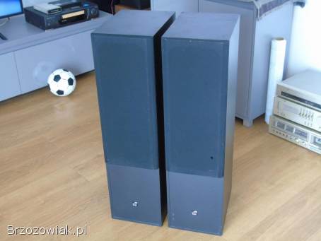 Kolumny audio ELAC ELT-10 świetne stereo 2x 120 wat.  DOSTAWA
