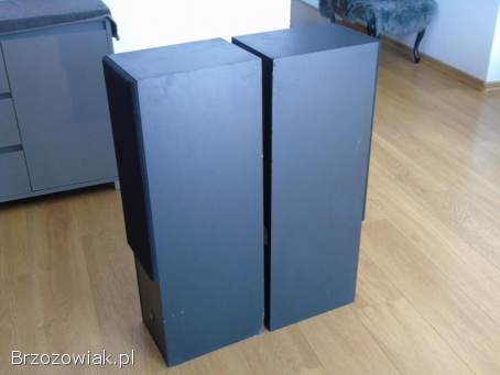 Kolumny audio ELAC ELT-10 świetne stereo 2x 120 wat.  DOSTAWA