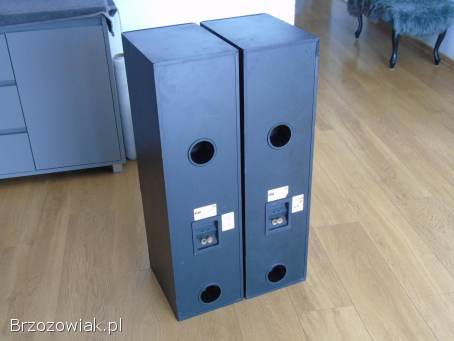 Kolumny audio ELAC ELT-10 świetne stereo 2x 120 wat.  DOSTAWA