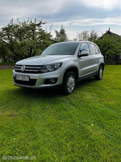 Volkswagen Tiguan 2013