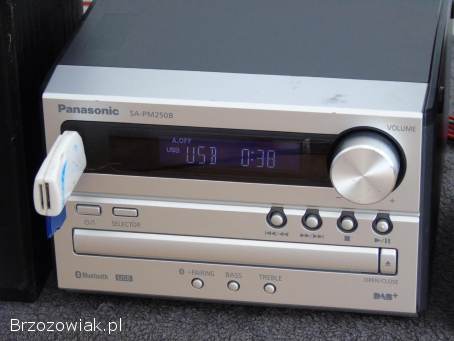 Wieża Panasonic SA-PM250 USB mp-3 kolumny.  WYSYŁKA