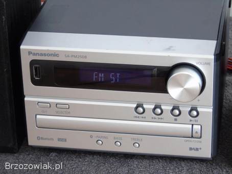 Wieża Panasonic SA-PM250 USB mp-3 kolumny.  WYSYŁKA