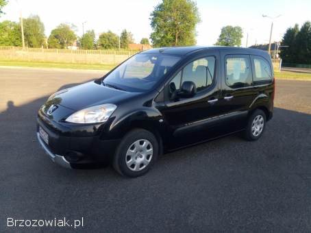 Peugeot Partner 1.  6 benzyna  2009