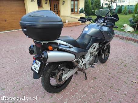 Suzuki V-Strom 2002