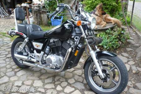 Honda VT Shadow 1986