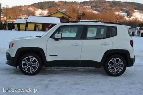 Jeep Renegade 1.  6 E-torQ Night 2017