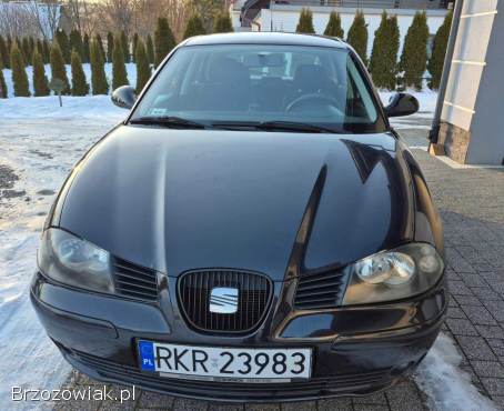Seat Ibiza III 2004