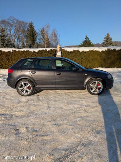 Audi A3 8P 2007