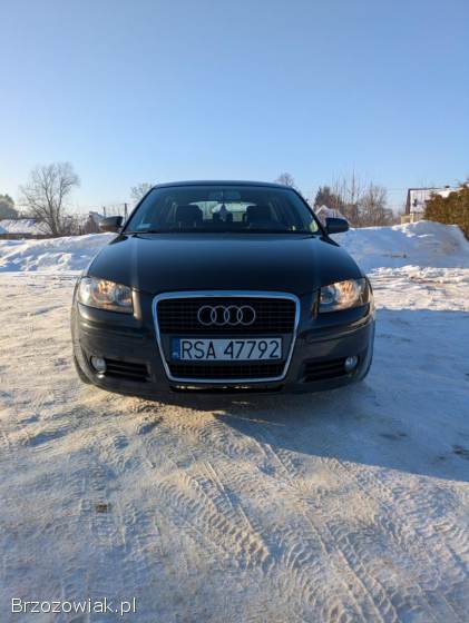 Audi A3 8P 2007