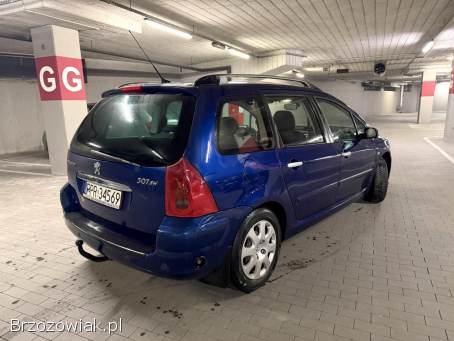 Peugeot 307 1.  6 LPG HAK  2005