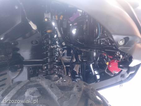 TGB BLADE 550 20 rok