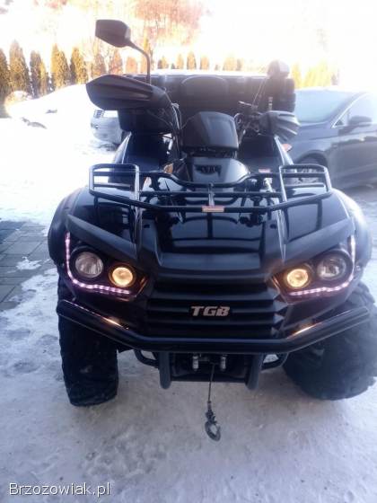 TGB BLADE 550 20 rok