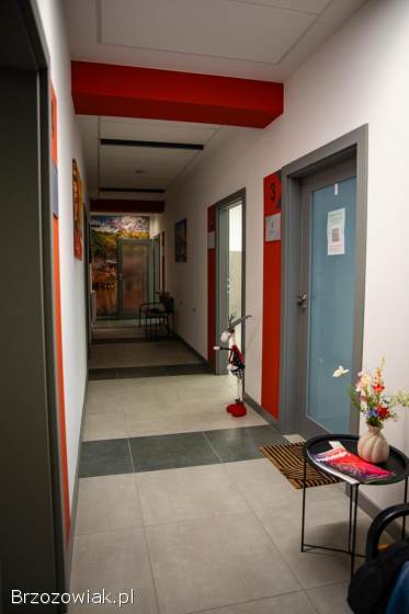 Lokale do wynajęcia