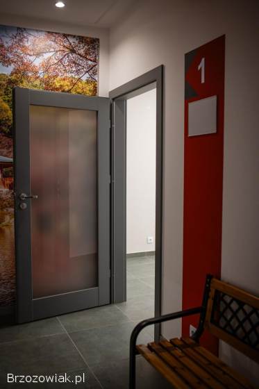 Lokale do wynajęcia