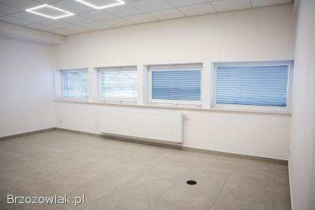 Lokale do wynajęcia