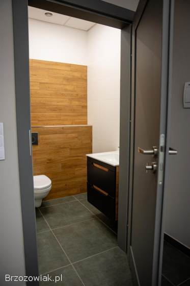 Lokale do wynajęcia