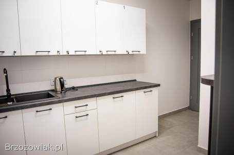 Lokale do wynajęcia