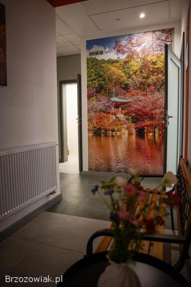 Lokale do wynajęcia