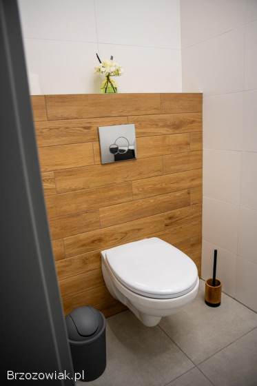 Lokale do wynajęcia